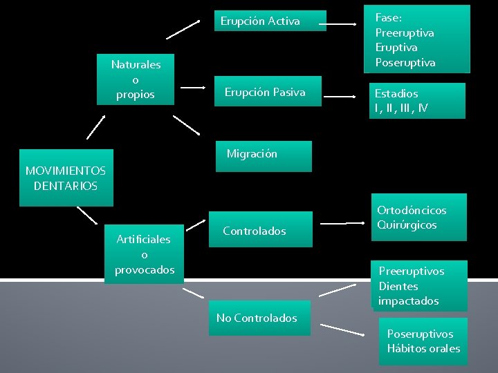 Erupción Activa Naturales o propios Erupción Pasiva Fase: Preeruptiva Eruptiva Poseruptiva Estadios I ,