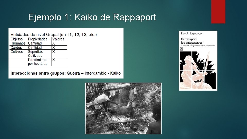 Ejemplo 1: Kaiko de Rappaport 