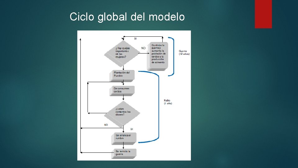 Ciclo global del modelo 