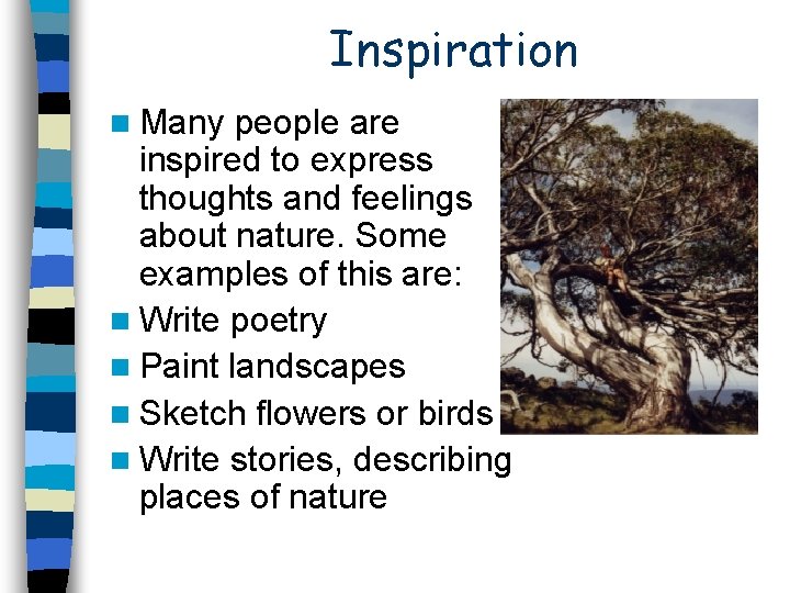 Inspiration n Many people are inspired to express thoughts and feelings about nature. Some