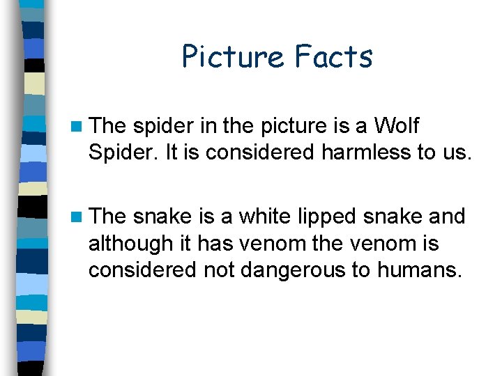 Picture Facts n The spider in the picture is a Wolf Spider. It is