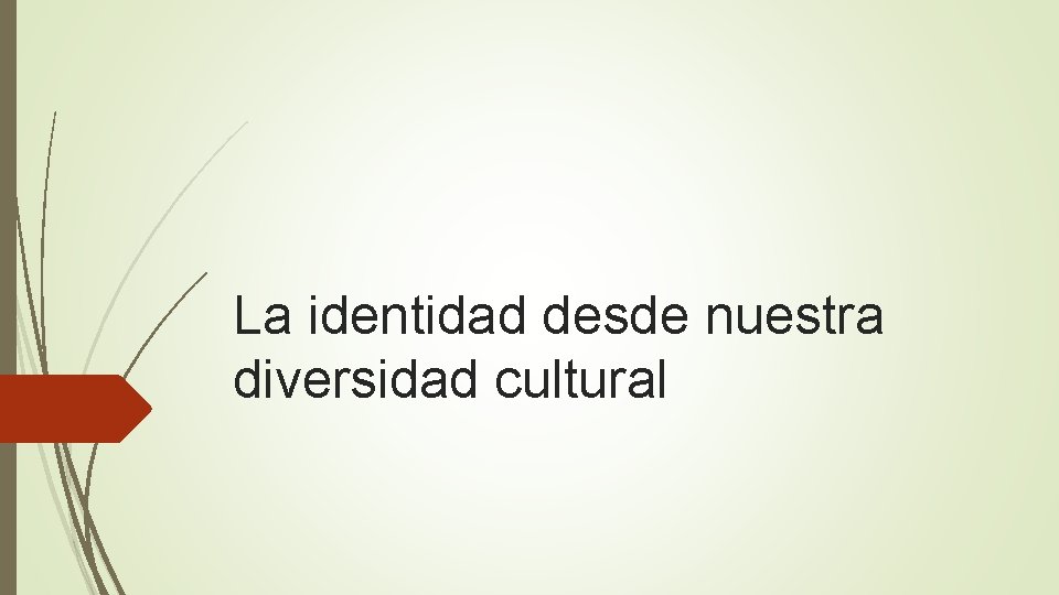 La identidad desde nuestra diversidad cultural 