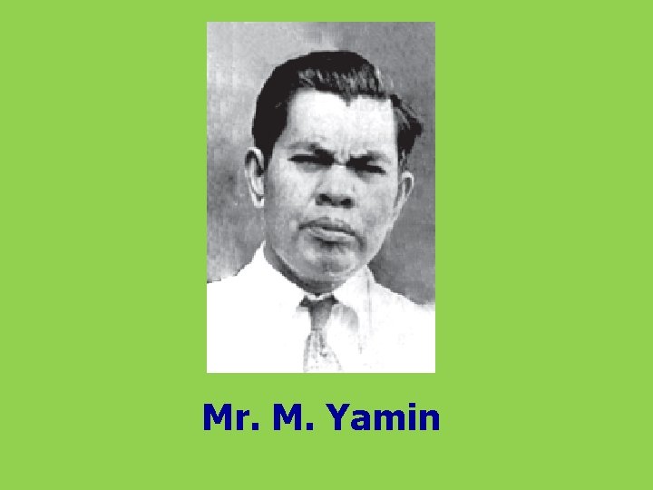 Mr. M. Yamin 