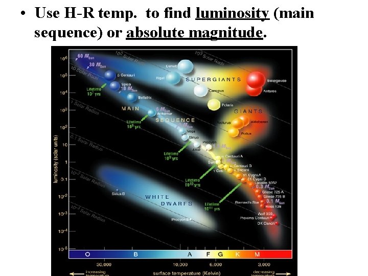  • Use H-R temp. to find luminosity (main sequence) or absolute magnitude. 