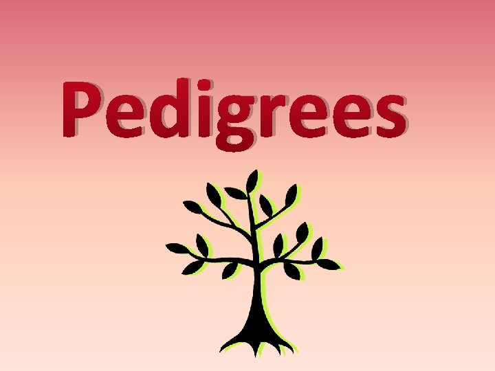 Pedigrees 