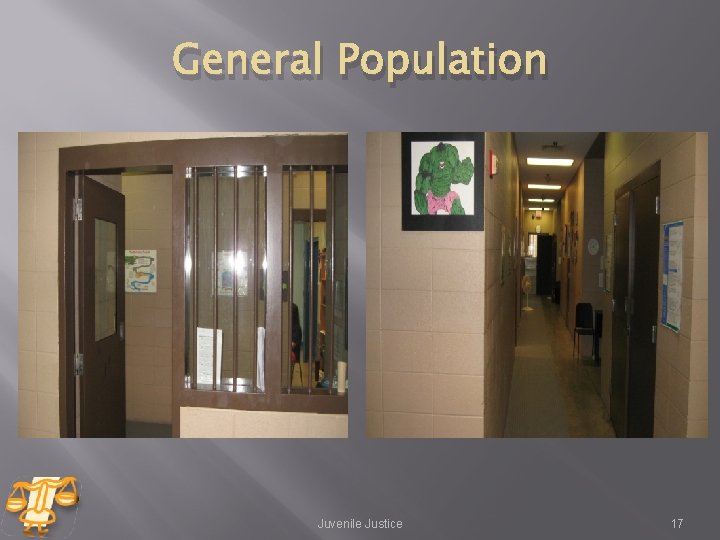 General Population Juvenile Justice 17 General Population Juvenile Justice 17