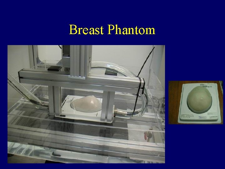 Breast Phantom 