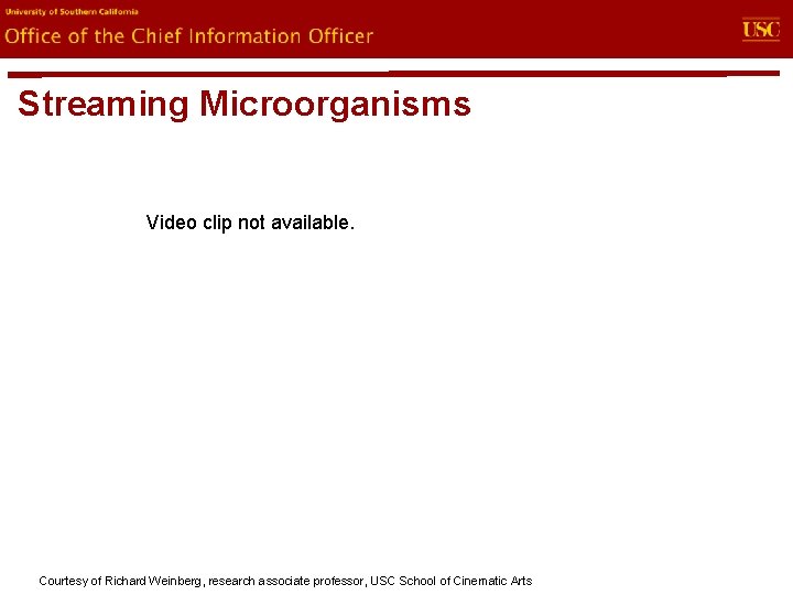 evin. U Office of the Chief Information Officer Streaming Microorganisms Video clip not available.