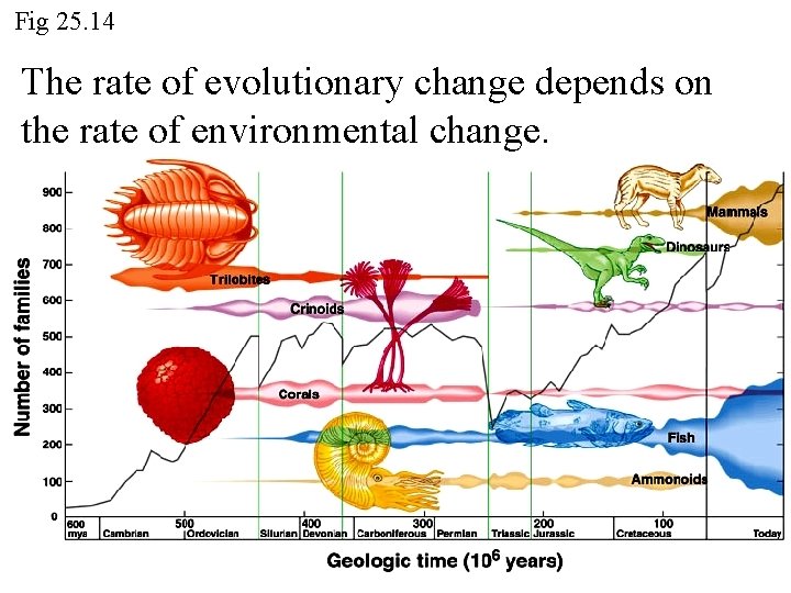 Fig 25. 14 The rate of evolutionary change depends on the rate of environmental Fig 25. 14 The rate of evolutionary change depends on the rate of environmental