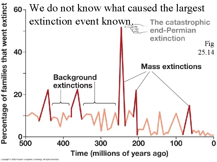 We do not know what caused the largest extinction event known. Fig 25. 14 We do not know what caused the largest extinction event known. Fig 25. 14