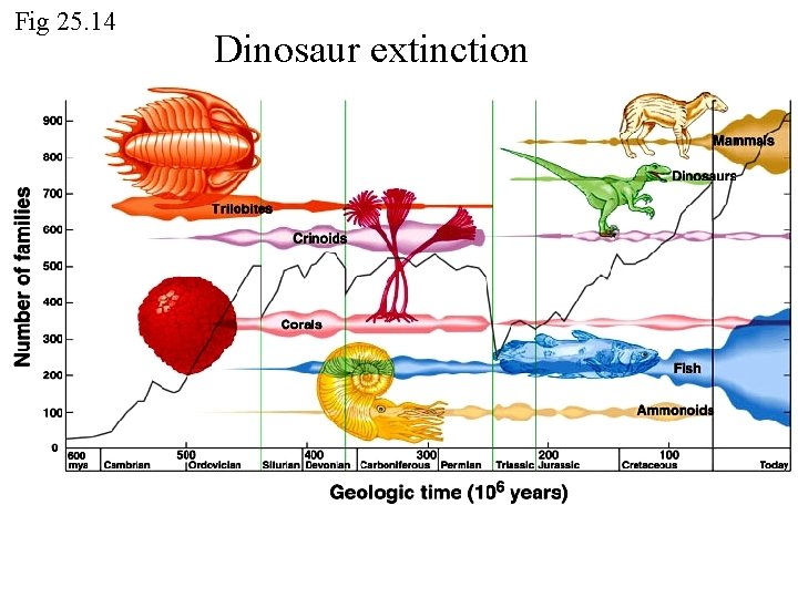 Fig 25. 14 Dinosaur extinction Fig 25. 14 Dinosaur extinction