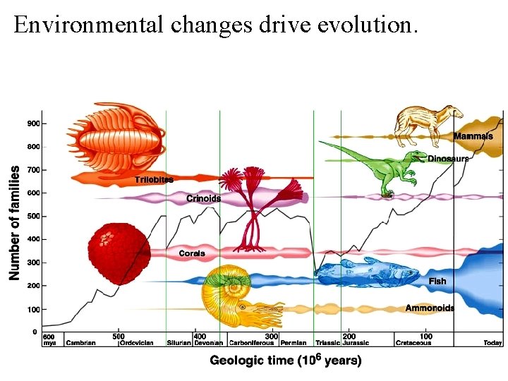 Environmental changes drive evolution. Environmental changes drive evolution.