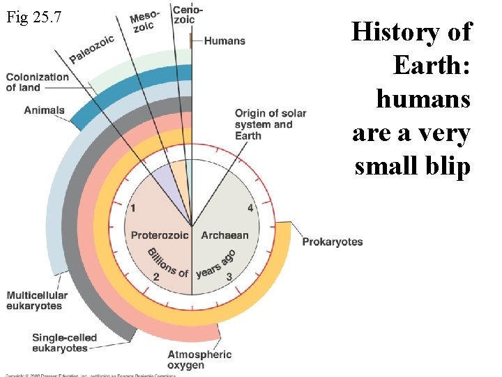 Fig 25. 7 History of Earth: humans are a very small blip Fig 25. 7 History of Earth: humans are a very small blip