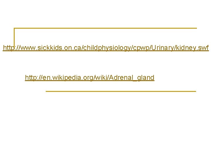 http: //www. sickkids. on. ca/childphysiology/cpwp/Urinary/kidney. swf http: //en. wikipedia. org/wiki/Adrenal_gland 