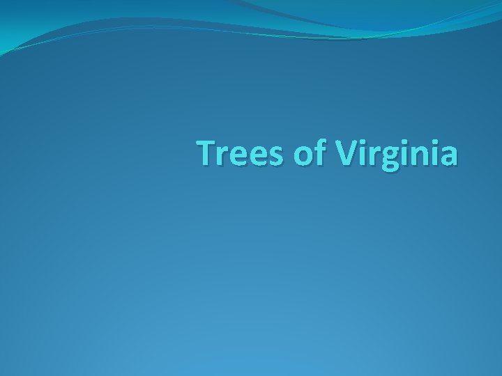 Trees of Virginia 