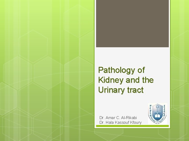 Pathology of Kidney and the Urinary tract Dr. Amar C. Al-Rikabi Dr. Hala Kassouf