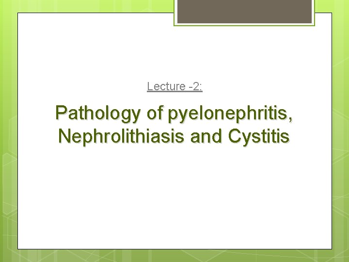 Lecture -2: Pathology of pyelonephritis, Nephrolithiasis and Cystitis 