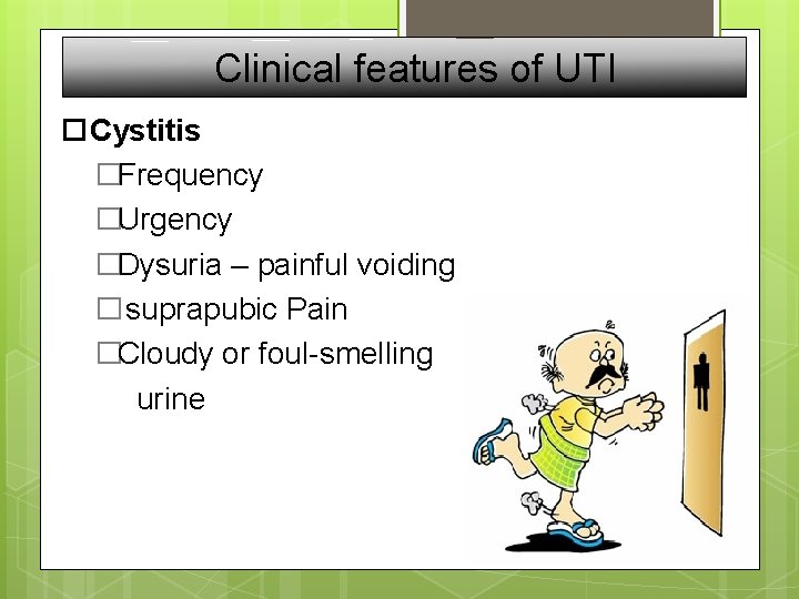 Clinical features of UTI Cystitis �Frequency �Urgency �Dysuria – painful voiding � suprapubic Pain