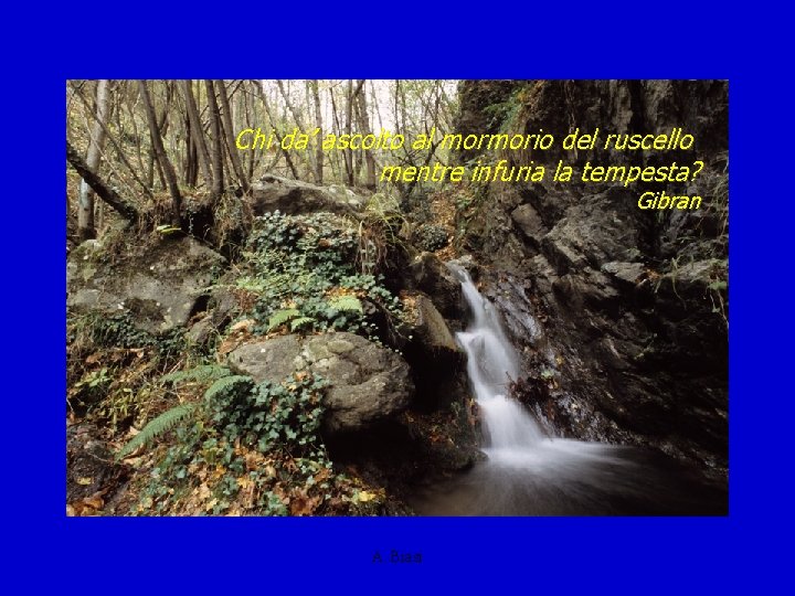 Chi da’ ascolto al mormorio del ruscello mentre infuria la tempesta? Gibran A. Biasi