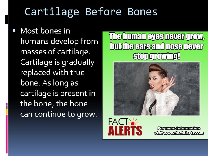Cartilage Before Bones Most bones in humans develop from masses of cartilage. Cartilage is