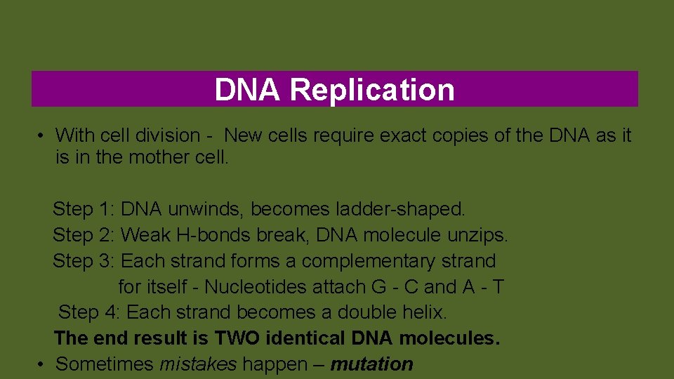 DNA Replication • With cell division - New cells require exact copies of the