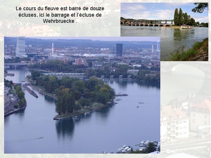Le Rhin et ses principaux affluents Le Rhin