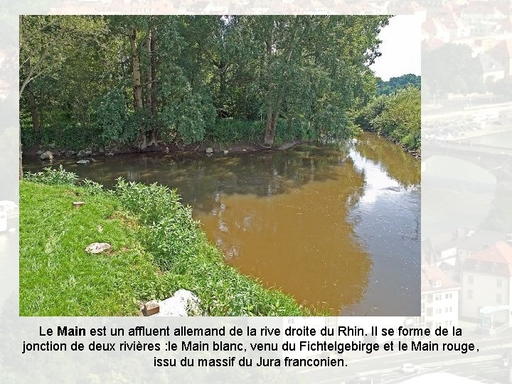 Le Rhin et ses principaux affluents Le Rhin