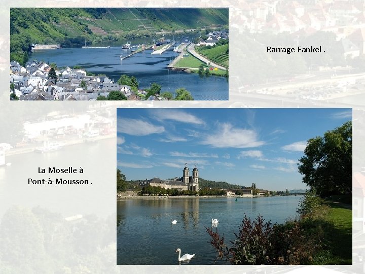 Le Rhin et ses principaux affluents Le Rhin