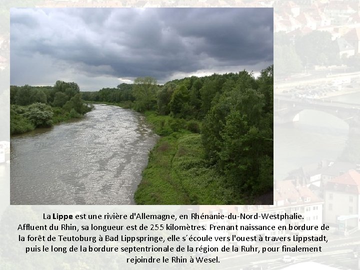 Le Rhin et ses principaux affluents Le Rhin