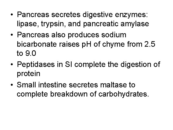  • Pancreas secretes digestive enzymes: lipase, trypsin, and pancreatic amylase • Pancreas also