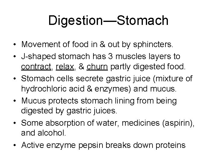 Digestion—Stomach • Movement of food in & out by sphincters. • J-shaped stomach has