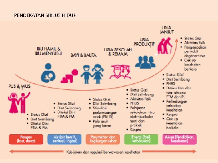 PENDEKATAN SIKLUS HIDUP 