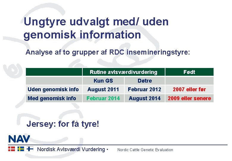 Ungtyre udvalgt med/ uden genomisk information Analyse af to grupper af RDC insemineringstyre: Rutine