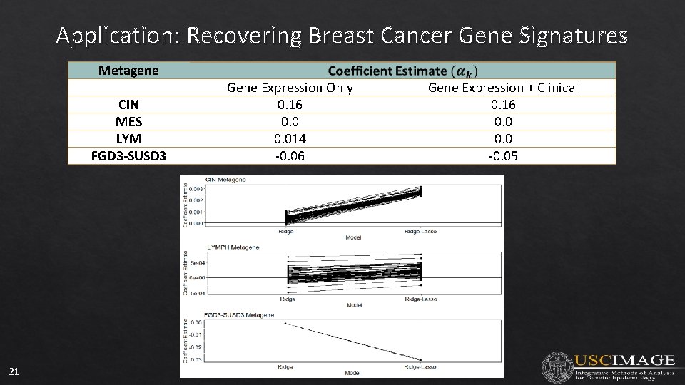 Application: Recovering Breast Cancer Gene Signatures Metagene CIN MES LYM FGD 3 -SUSD 3