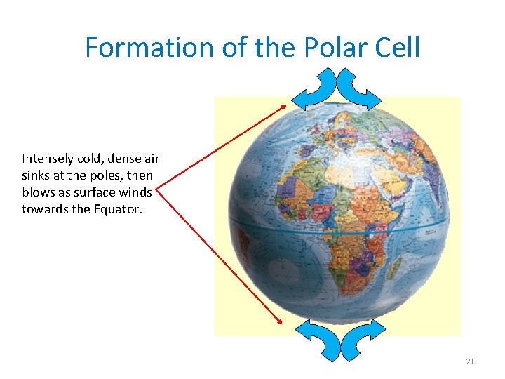 Formation of the Polar Cell Intensely cold, dense air sinks at the poles, then