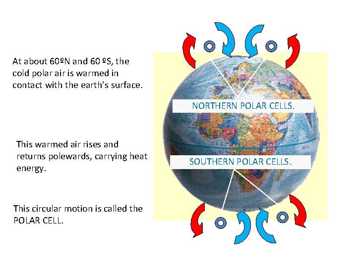At about 60ºN and 60 ºS, the cold polar air is warmed in contact