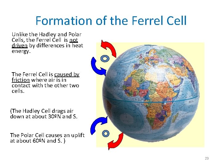 Formation of the Ferrel Cell Unlike the Hadley and Polar Cells, the Ferrel Cell