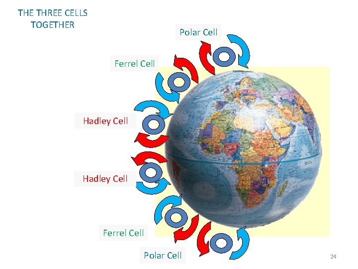 THE THREE CELLS TOGETHER Polar Cell Ferrel Cell Hadley Cell Ferrel Cell Polar Cell