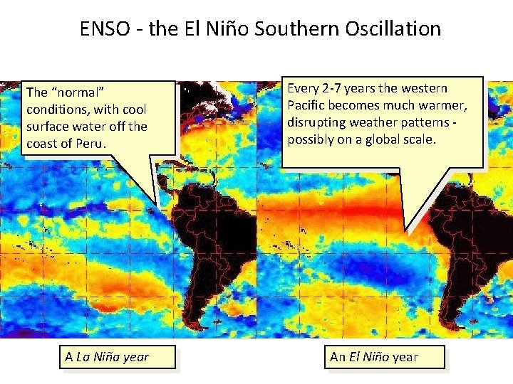 ENSO - the El Niño Southern Oscillation The “normal” conditions, with cool surface water