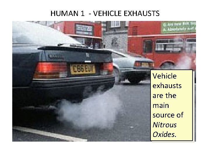 HUMAN 1 - VEHICLE EXHAUSTS Vehicle exhausts are the main source of Nitrous Oxides.