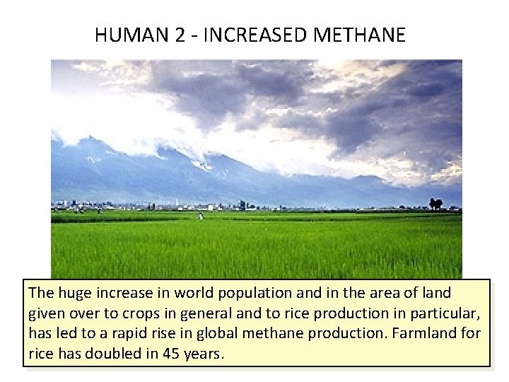 HUMAN 2 - INCREASED METHANE The huge increase in world population and in the