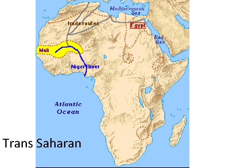 Trans Saharan 