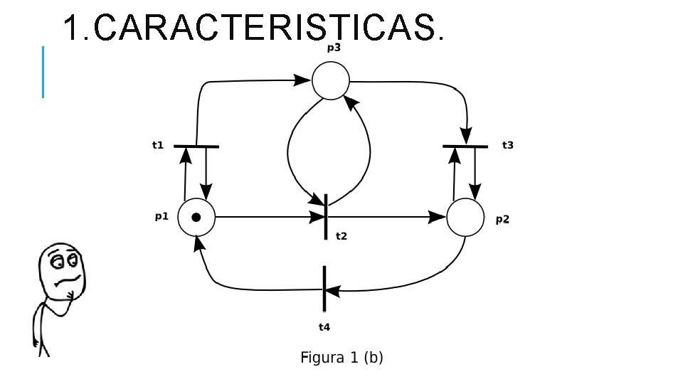 1. CARACTERISTICAS. 