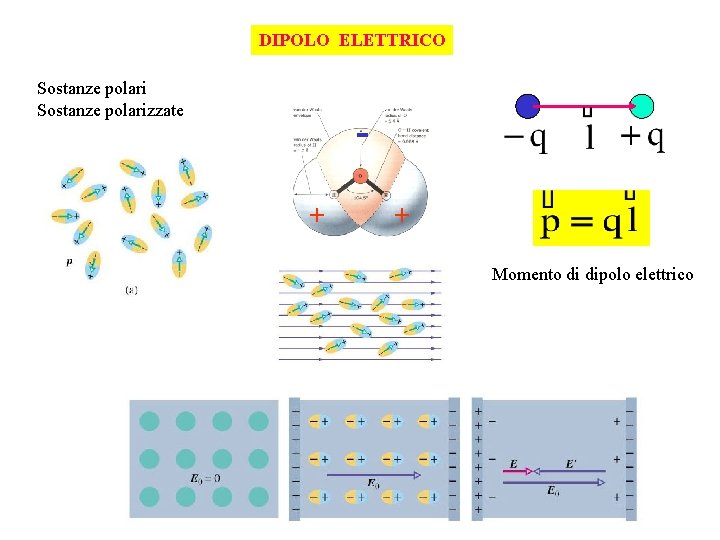 DIPOLO ELETTRICO Sostanze polarizzate + + Momento di dipolo elettrico 