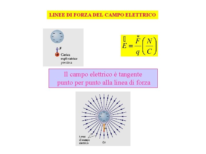 LINEE DI FORZA DEL CAMPO ELETTRICO Il campo elettrico è tangente punto per punto