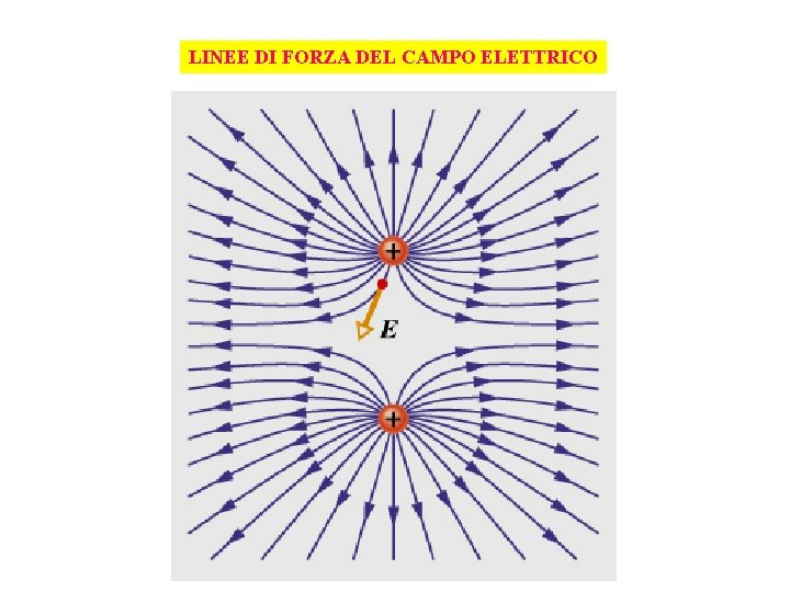 LINEE DI FORZA DEL CAMPO ELETTRICO 