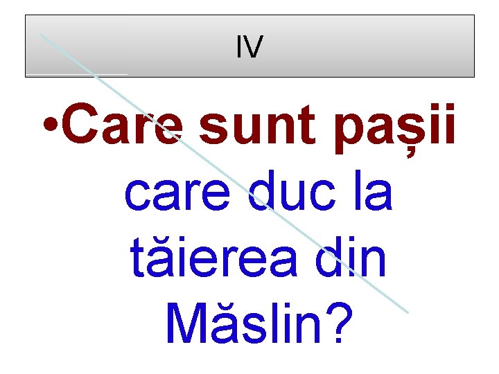 IV • Care sunt pașii care duc la tăierea din Măslin? 