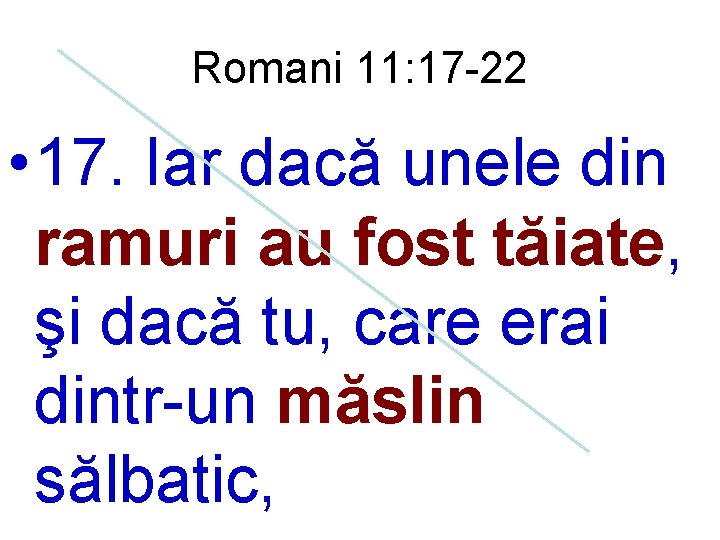 Romani 11: 17 -22 • 17. Iar dacă unele din ramuri au fost tăiate,