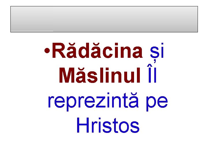  • Rădăcina și Măslinul Îl reprezintă pe Hristos 