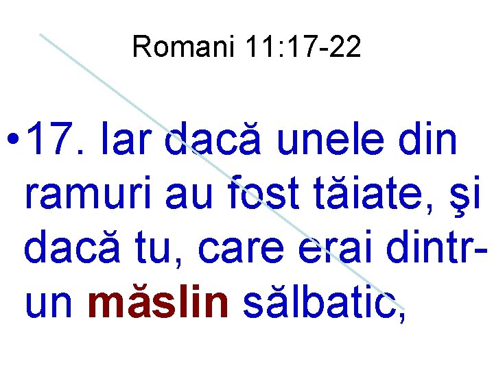 Romani 11: 17 -22 • 17. Iar dacă unele din ramuri au fost tăiate,
